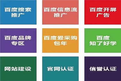 成功案例：SEM竞价托管的策略与效果
